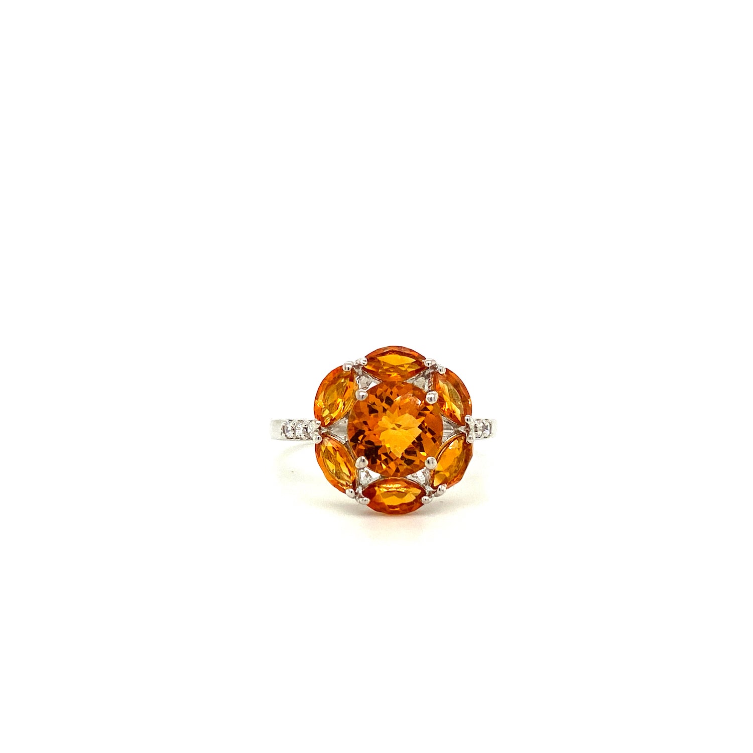 collection-image3