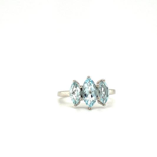 Natural Aquamarine Gemstone 925 Sterling Silver Ring | Paraiso Jewels