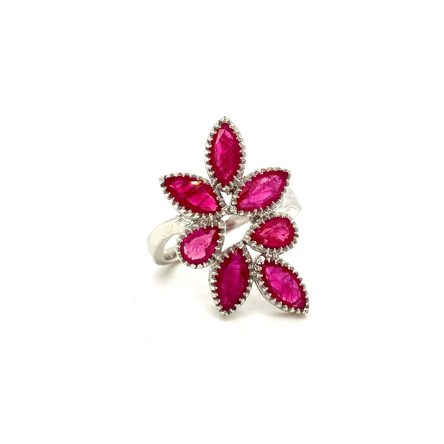 collection-image2