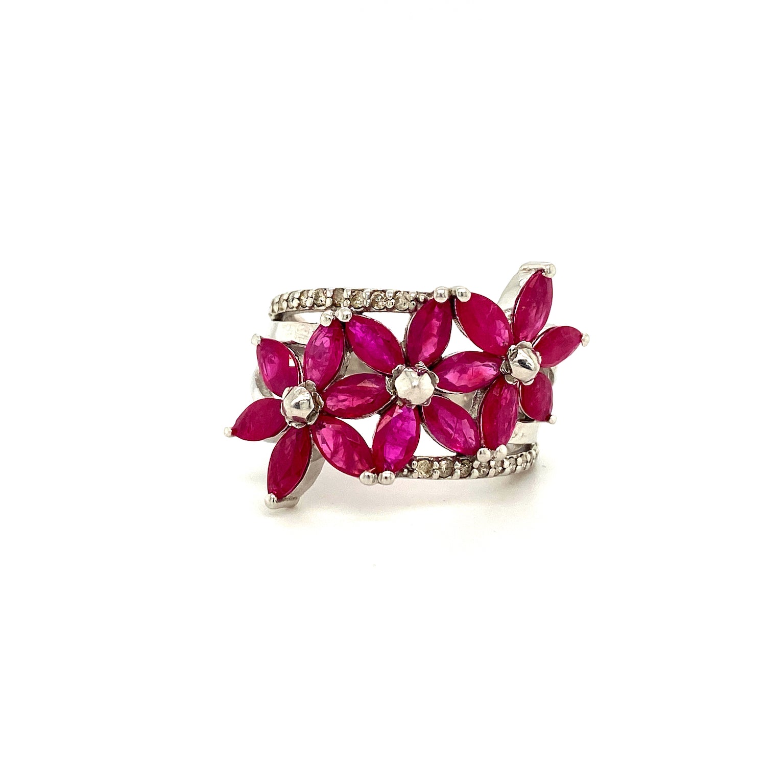 collection-image4