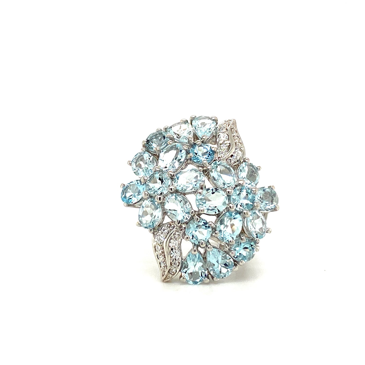 collection-image4